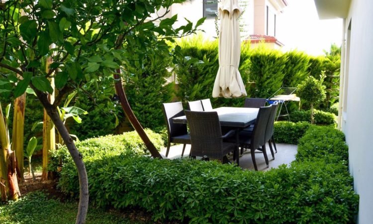 WhatsApp-Image-2018-05-19-at-15.33.022-750x450